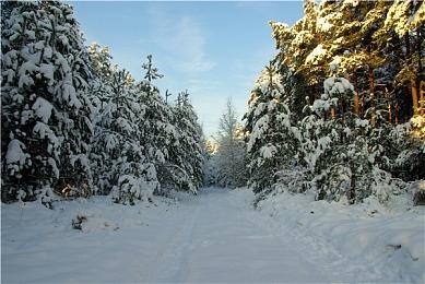 《艾尔登法环》拍照模式Mod发布 和老婆一起合影！